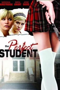 Идеальный студент (2011)