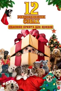 12 рождественских собак: Спасение приюта для щенков (2012)