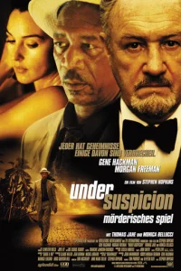 Под подозрением (1999)