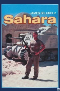 Сахара (1995)
