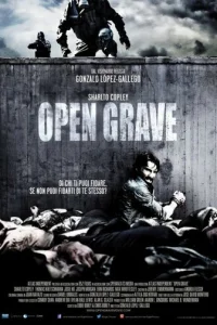 Открытая могила	 (2013)