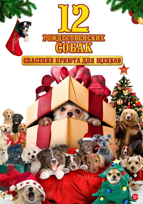 12 рождественских собак: Спасение приюта для щенков (2012)