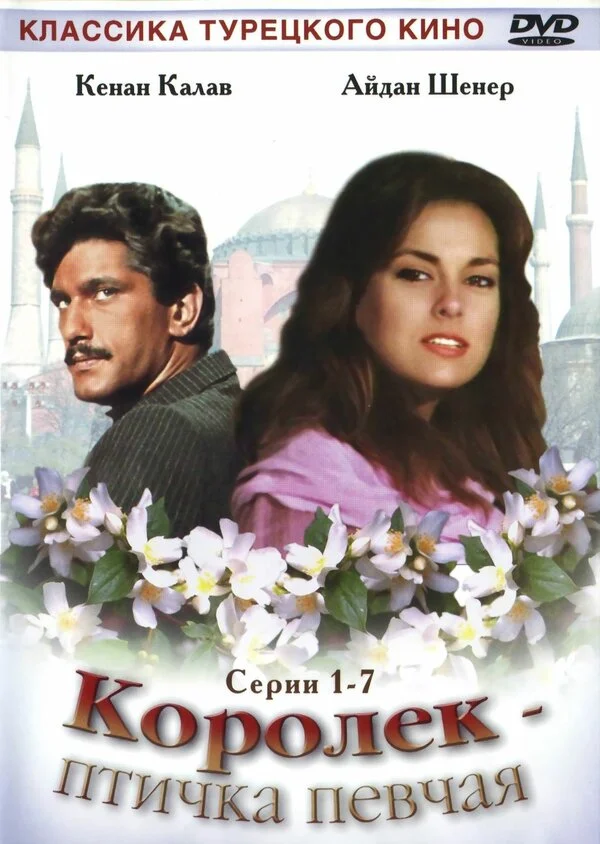 Королёк – птичка певчая (2013)