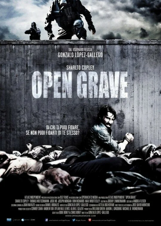 Открытая могила	 (2013)